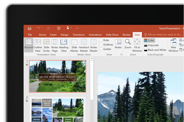 Microsoft Office Insider program