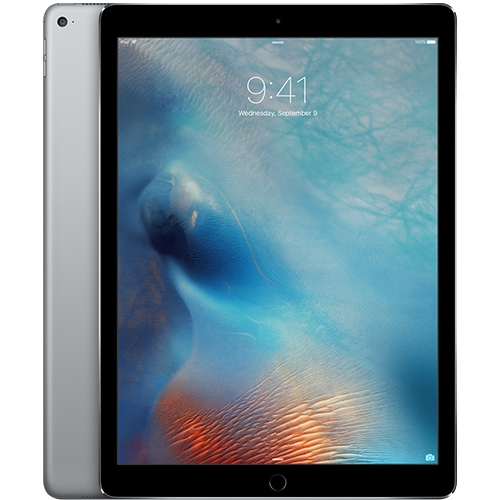 Cellular Apple iPad Pro 256GB Space Gray ML2L2LL/A