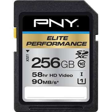 PNY 256 GB Secure Digital Extended Capacity (SDXC)